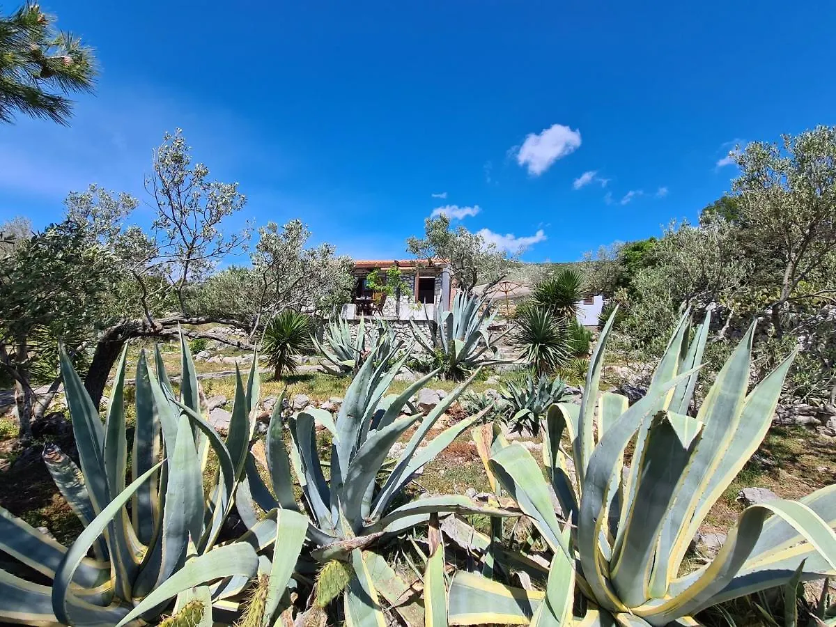 Orkula Hidden Paradise- Robinson Holiday House Vila Banj 0*,